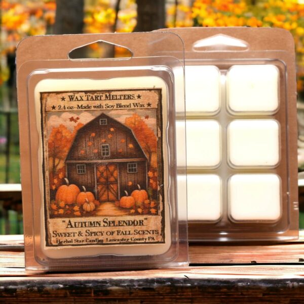 Autumn splendor mini tart