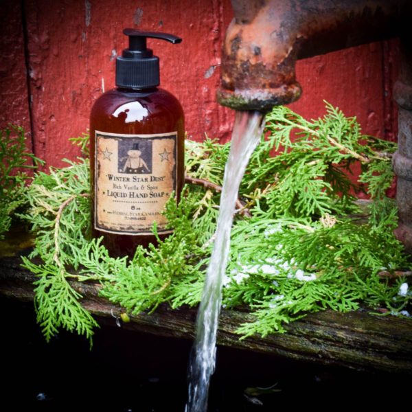 Winter Star Dust Liquid Hand Soap 8 oz
