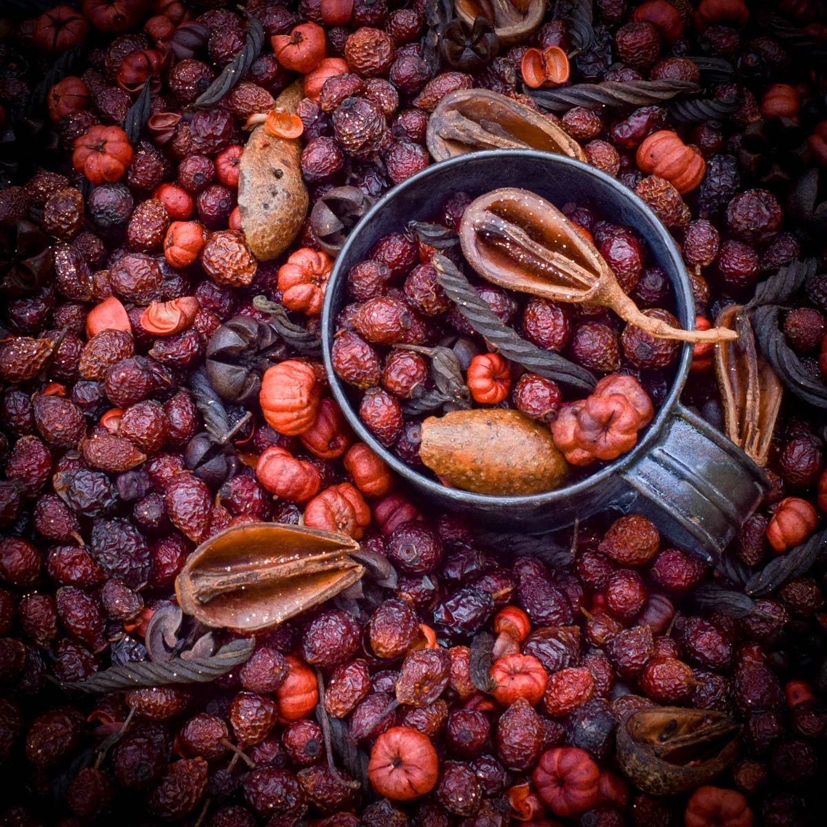 Autumn Splendor Potpourri