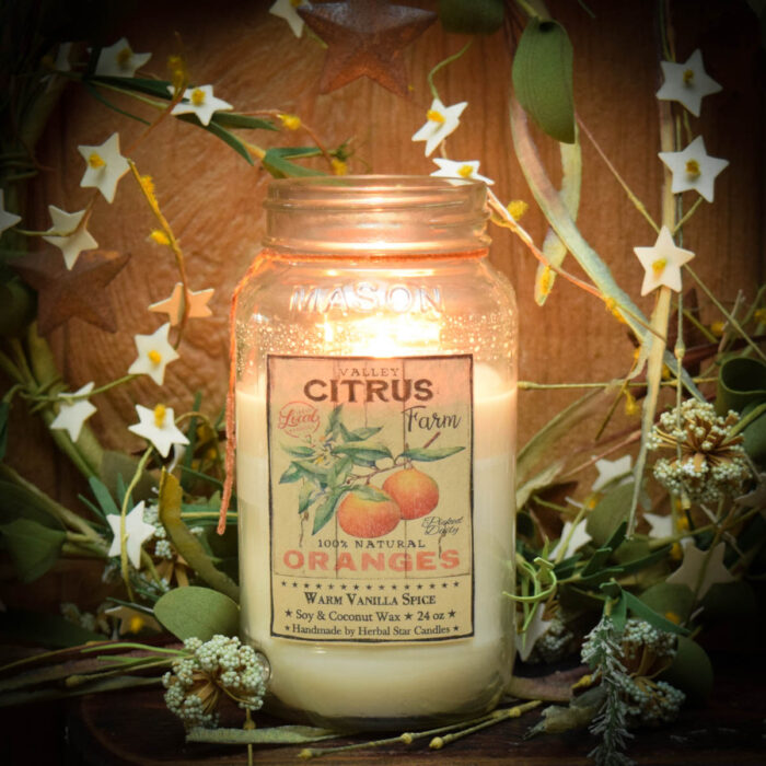 Orange Marmalade Mason Jar Candle24 oz Herbal Star Candles