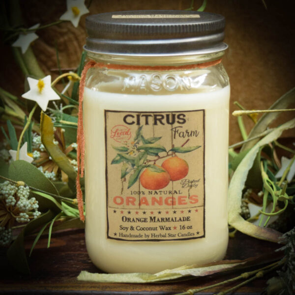 16 oz Orange Marmalade Jar Candle