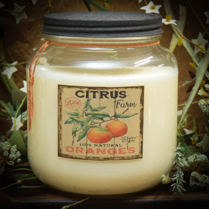 Orange Marmalade Jar Candle64 oz Herbal Star Candles
