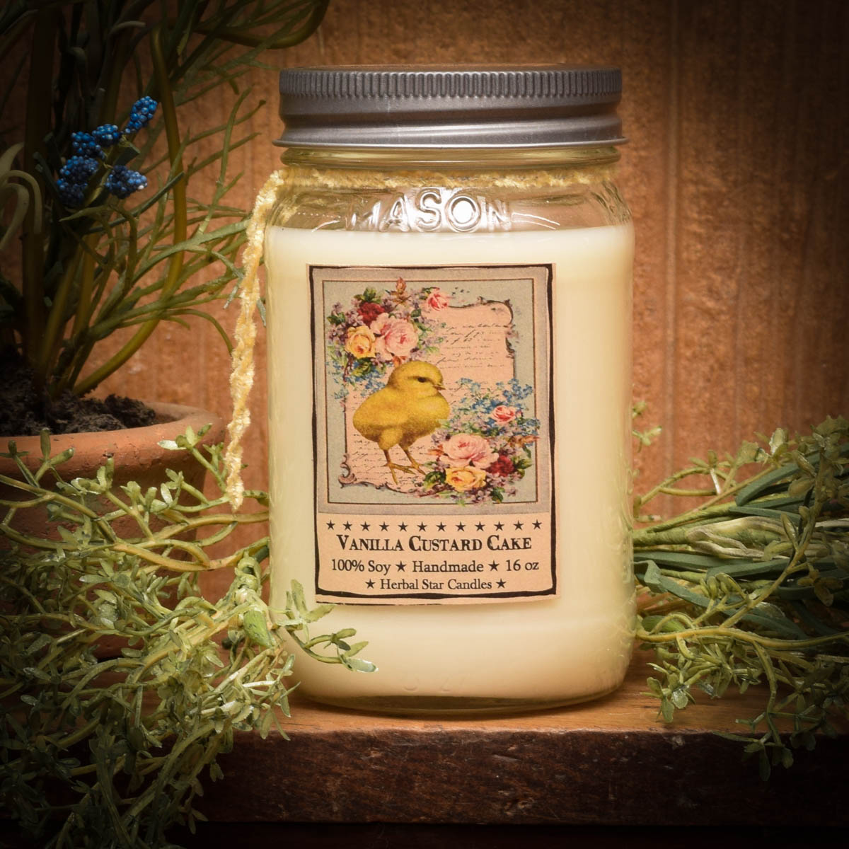 Vanilla Custard Jar Candle16 oz Herbal Star Candles