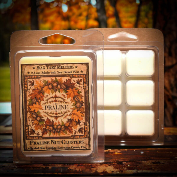 Praline Nut Cluster Mini Pack of 6 Tarts