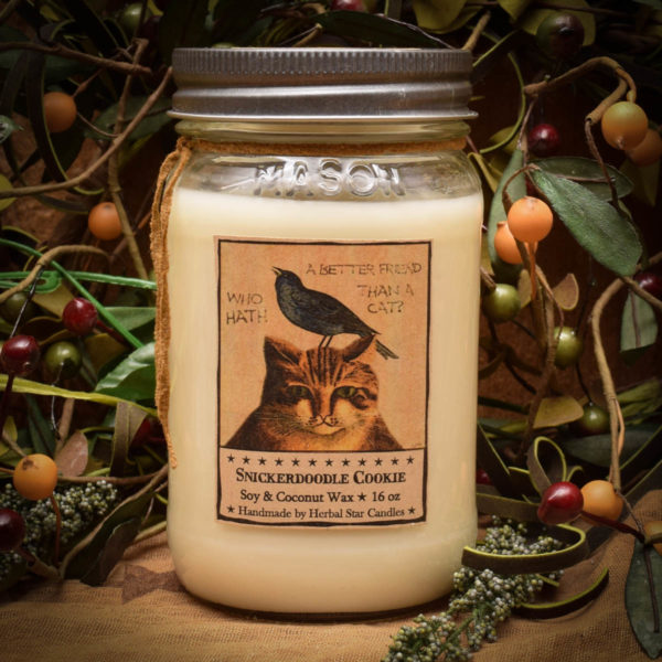 Snickerdoodle Simon 16 oz Jar Candle