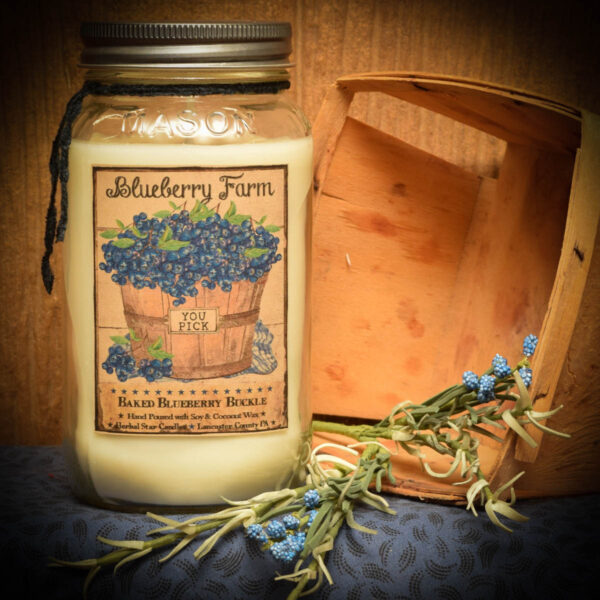 Baked Blueberry Buckle 24 oz Jar candle