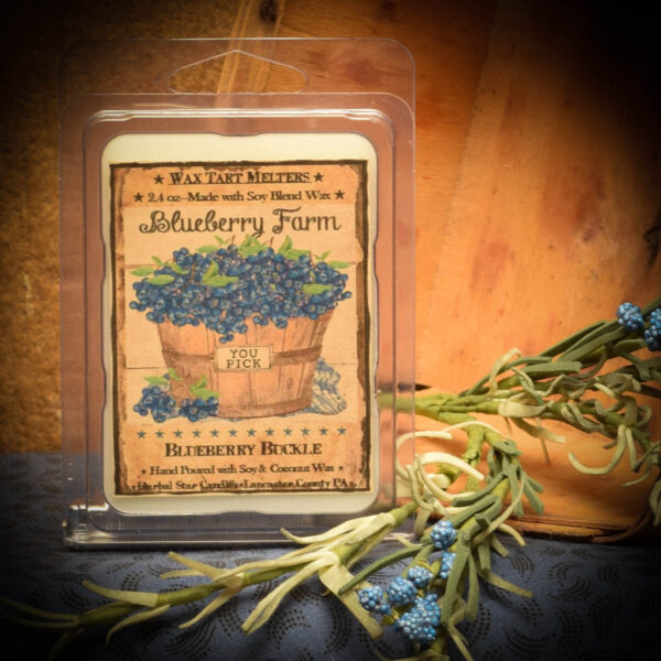 Blueberry Buckle Mini Pack of tarts