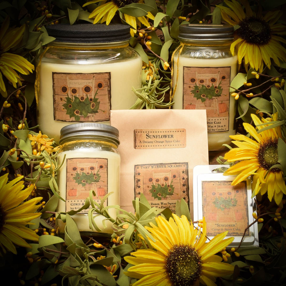 Sunflower Collection Herbal Star Candles