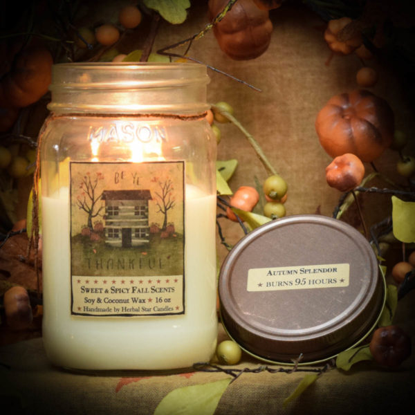 Autumn Splendor 16 oz Jar candle burning