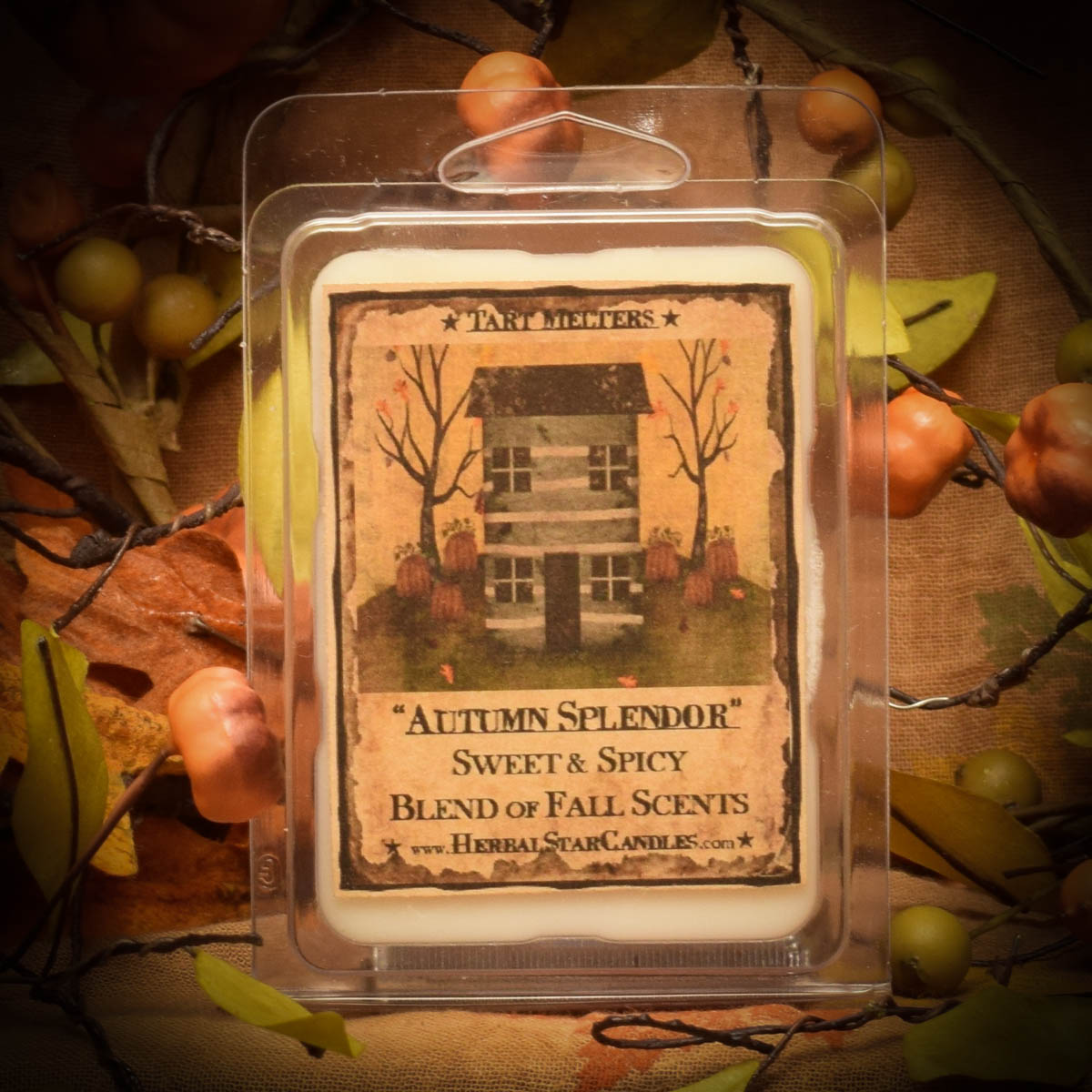 Autumn Splendor Mini Pack of 6 Tarts