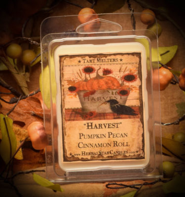 Harvest Mini Pack of 6 Tarts