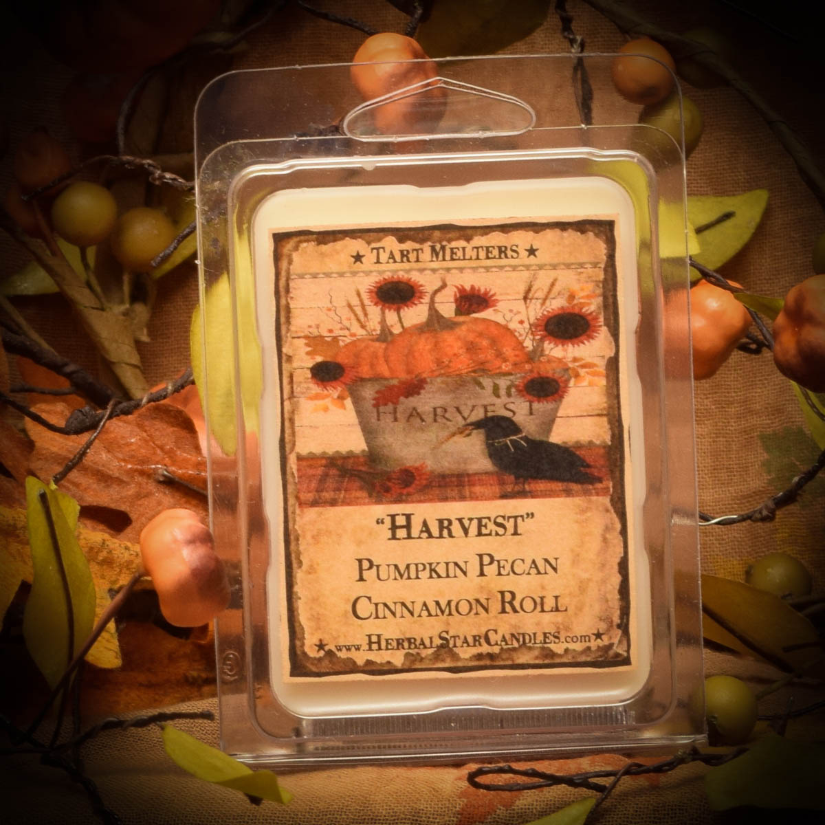 Harvest Mini Pack of 6 Tarts