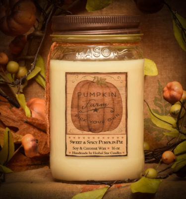 Pumpkin Star Patch 16 oz Jar candle