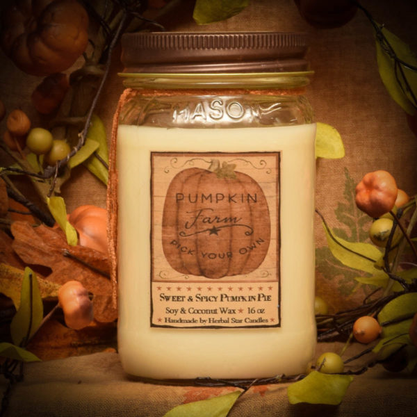 Pumpkin Star Patch 16 oz Jar candle