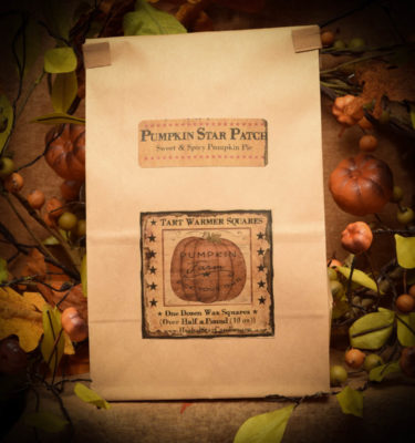 Pumpkin Star Patch bag of 12 tart squares