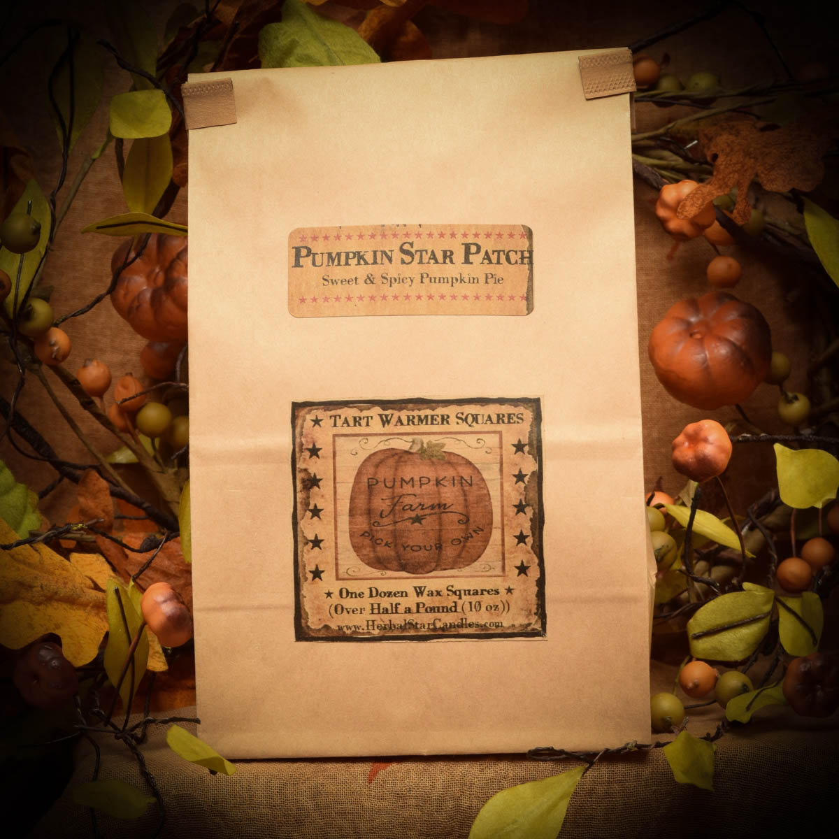 Pumpkin Star Patch bag of 12 tart squares