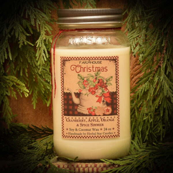 Cranberry Spice Simmer 24 oz jar candle