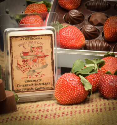 Chocolate Covered Strawberry Mini Tart