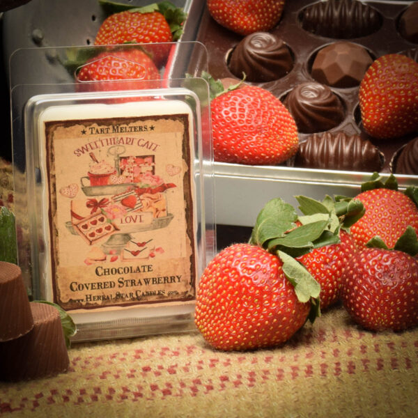 Chocolate Covered Strawberry Mini Tart