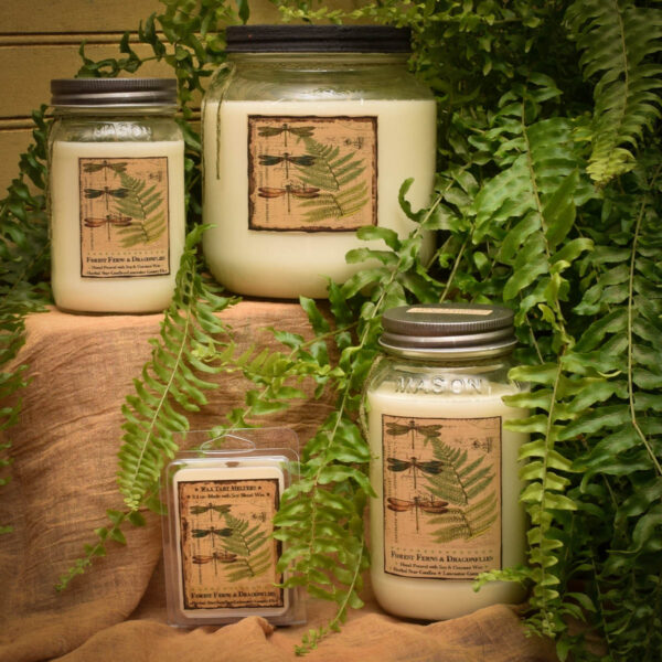 Fern Collection