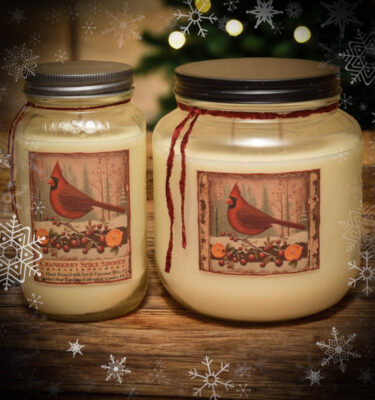 Cranberry Spice Simmer Scent Collection