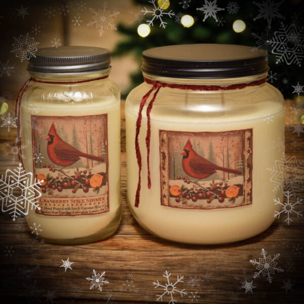 Cranberry Spice Simmer Scent Collection
