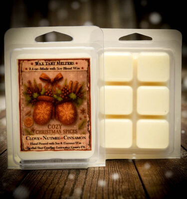 Cozy Christmas Spices Mini Wax Tarts – 6 square clamshell, holiday fragrance of clove, cinnamon, nutmeg, and fireside smoke by Herbal Star Candles