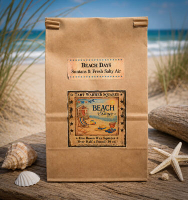 Beach inspired tart warmer squares hand poured in Lancaster County PA