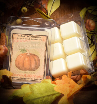 Pumpkin Maple Scones Mini Pack of 6 Tarts