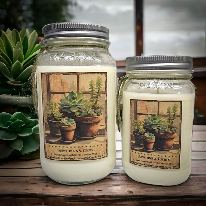 Sunshine and Citrus Scent Collection Herbal Star Candles