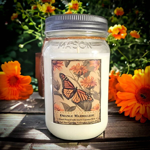 Orange Marmalade 16 oz jar candle