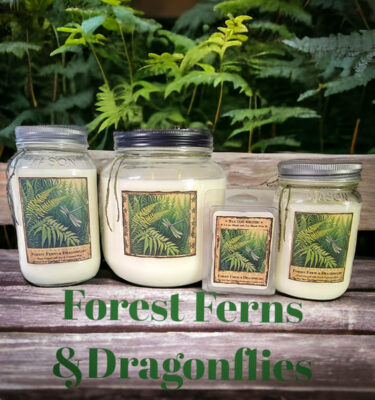 Forest Ferns and Dragonflies Scent Collection