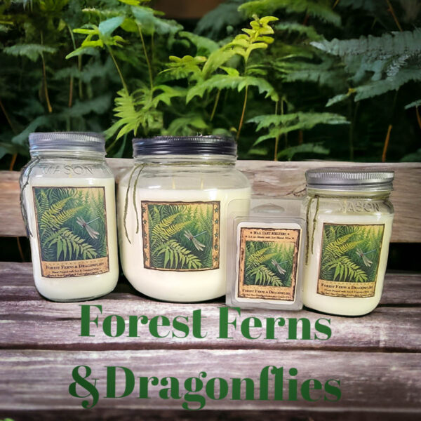 Forest Ferns and Dragonflies Mason Jar Candle-16 oz - Image 2