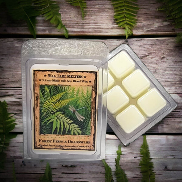 Forest Ferns and Dragonflies Mini Pack of 6 Tarts-2.4 oz
