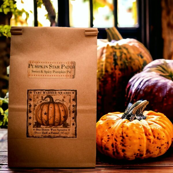 Pumpkin Star Patch tart bag