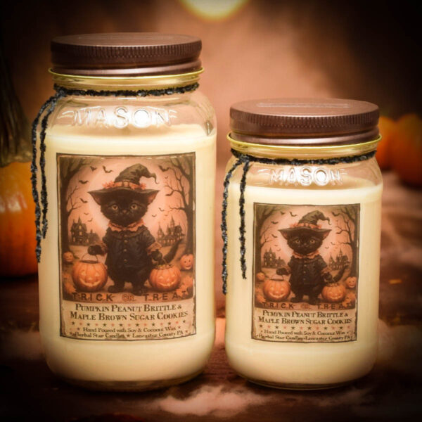 Trick Or Treat with Black Cat Label Jar candles