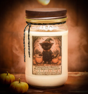 Trick Or Treat with Black Cat Label 16 oz Jar Candle