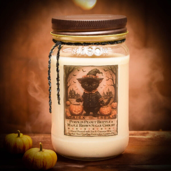 Trick Or Treat with Black Cat Label 16 oz Jar Candle