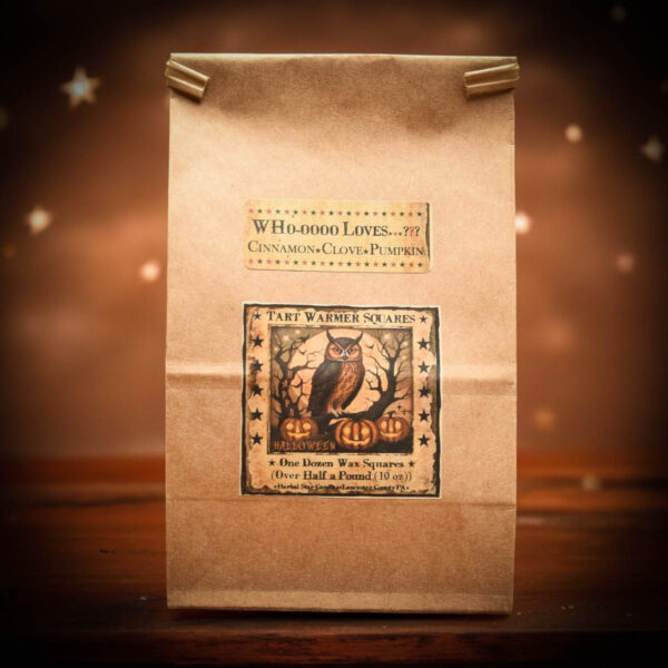 Cinnamon Clove Pumpkin bag of 12 tarts