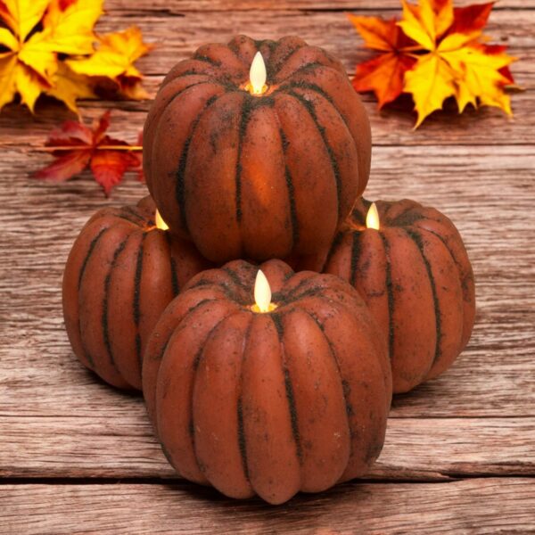6x5 Large Pumpkins
