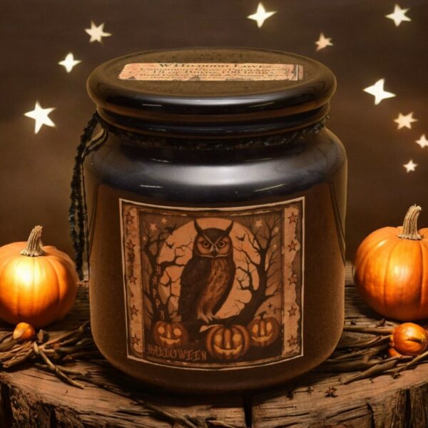 Owl Black Apothecary Jar