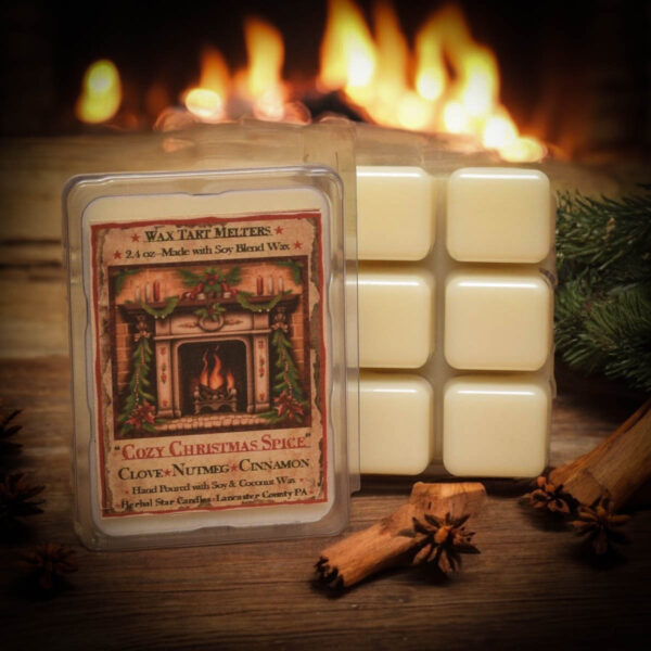 Cozy Christmas Spices Mini Pack of 6 tarts