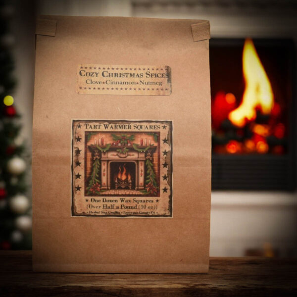 Cozy Christmas Spices Bag of 12 Tarts