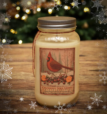 Cranberry Spice Simmer 24 oz Jar Candle