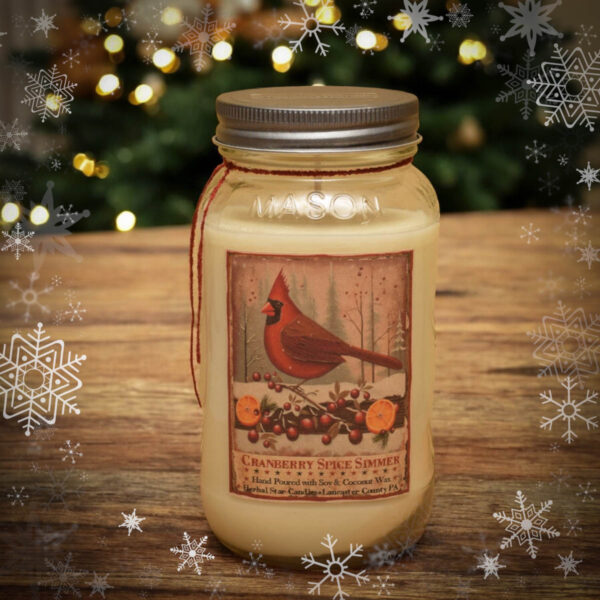 Cranberry Spice Simmer 24 oz Jar Candle