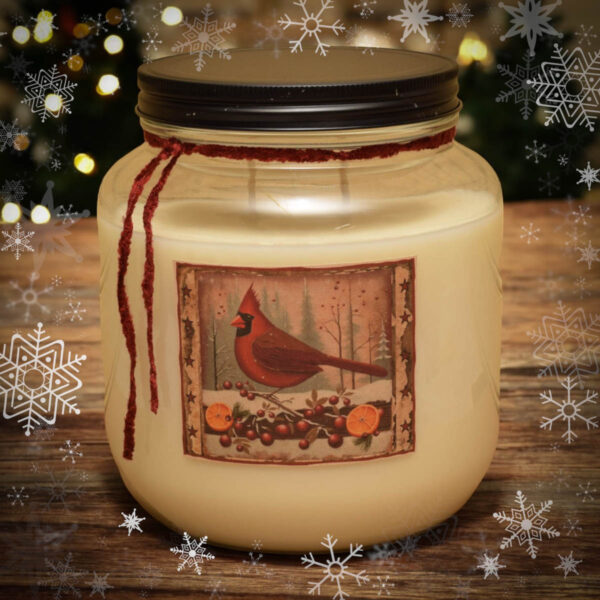 Cranberry Spice Simmer 64 oz Jar Candle
