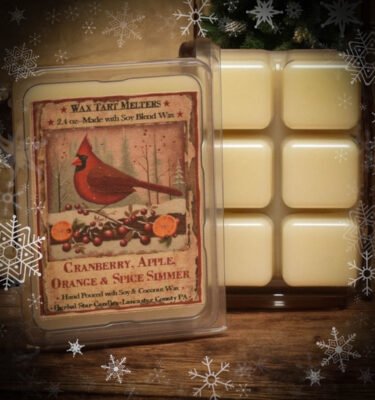 Cranberry Spice Simmer Mini Pack of 6 Tarts