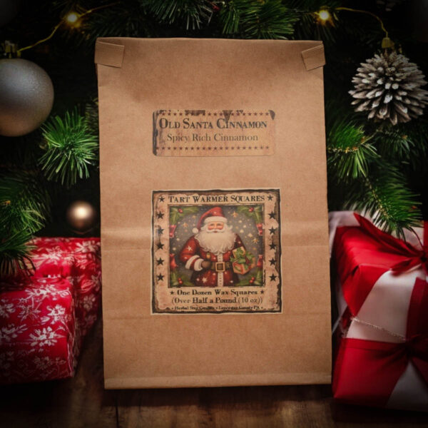 Old Santa Cinnamon Bag of 12 Tarts