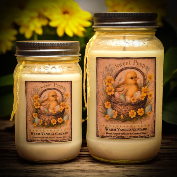 Vanilla Custard Scent Collection