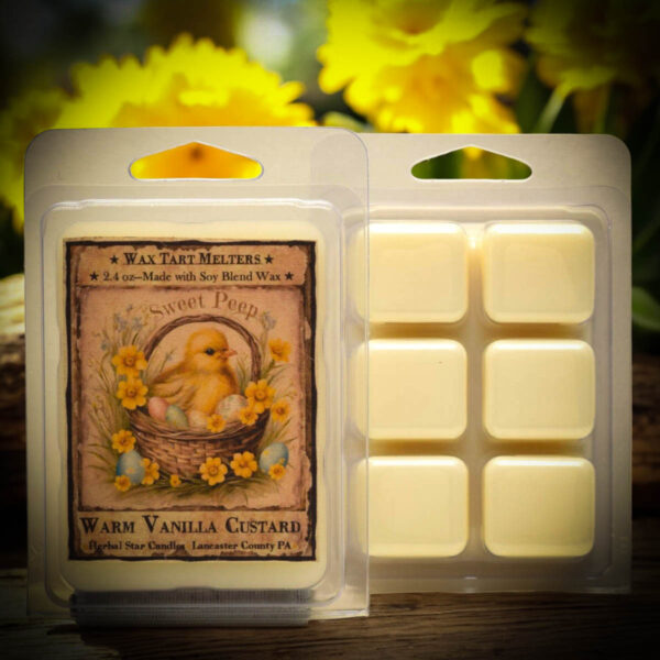 Vanilla Custard Mini Pack of 6 Tarts